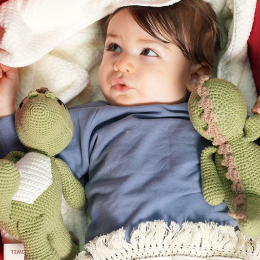 Yarn o Saurus Hand-Knitted Dinosaur Toy in sage green – soft baby toy by Cuddle Bloom Pakistan