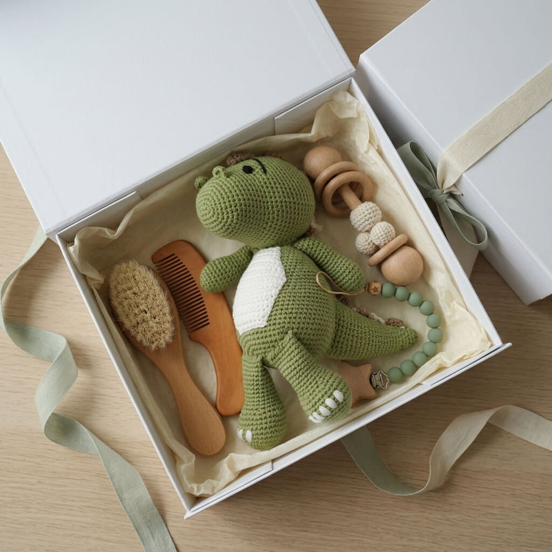 Dino Delight Baby Bundle